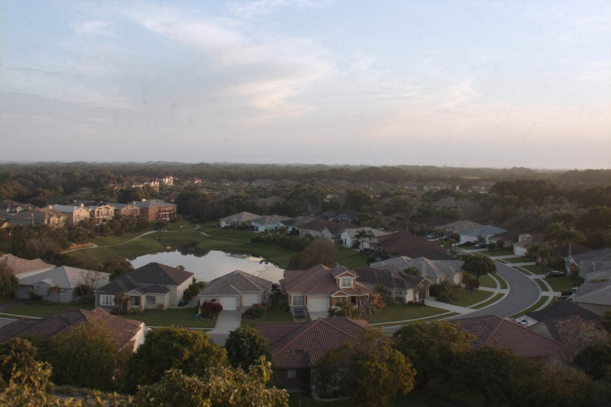 Quiet Florida suburban residential street with single-family homes and palm trees