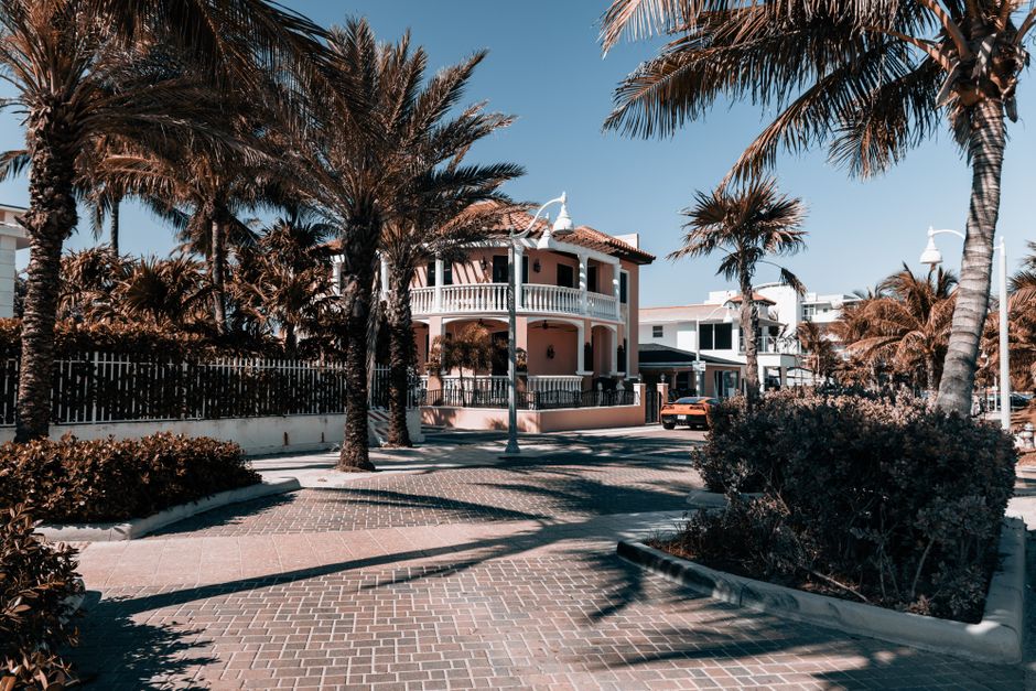 Temple Terrace Neighborhoods Near USF: Local Guide